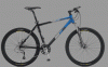 race_action_48_schw_eblue_600_w_123.gif