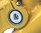 pasquizyellow1.jpg