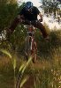 maurizio_nofooter.jpg