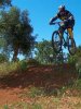 ciccio_step-up_1.jpg