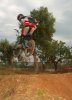 marcello_1hander.jpg