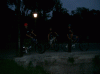 miglio__guido__albert.gif