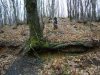 P1000080.JPG