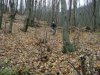 P1000083.JPG