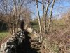DSC01678.jpg
