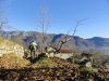 DSC01684.jpg