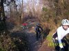 000_0242.jpg
