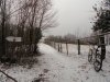 DSC01791.jpg