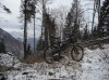 CIMG0674.jpg