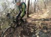 DSC01803.jpg