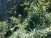 26072009348.jpg