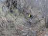 DSC01834.jpg