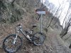 DSC01842.jpg