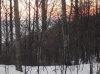 P2050002.jpg