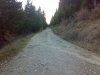 08032011537.jpg