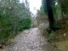 14022011515.jpg