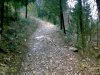 14022011516.jpg