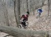 DSC01931.jpg