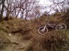 12032011040.jpg
