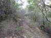 DSC00115.jpg