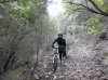 DSC00118.jpg