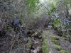 DSC00119.jpg