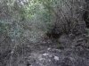 DSC00120.jpg