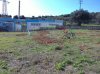 29032011546.jpg
