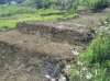 2011_03310003_3_1.jpg