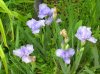 DSCN0578.jpg