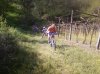 Foto0421.jpg