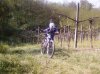 Foto0423.jpg