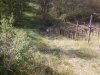 Foto0424.jpg