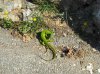 DSCN4019.jpg