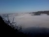2011-04-10 08.43.13.jpg
