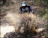 ugo muddy swap.jpg