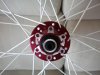 DSCN4647.jpg