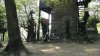 DSC00147.jpg