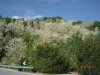 Uscita del 15.05.2011 028.jpg