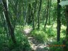Uscita del 22.05.2011 044.jpg