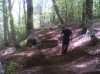 IMG00200-20110506-1342.jpg