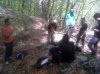 IMG00212-20110508-1315.jpg