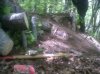 IMG00226-20110512-1237.jpg