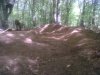 IMG00228-20110513-1133.jpg