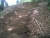 IMG00231-20110513-1202.jpg