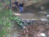 IMG00251-20110521-1523.jpg
