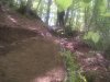 IMG00252-20110521-1526.jpg
