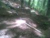 IMG00258-20110522-1315.jpg
