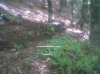 IMG00259-20110522-1316.jpg