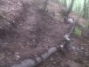 IMG00263-20110522-1717.jpg